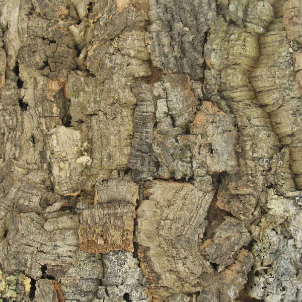 Natural cork bark wall tile